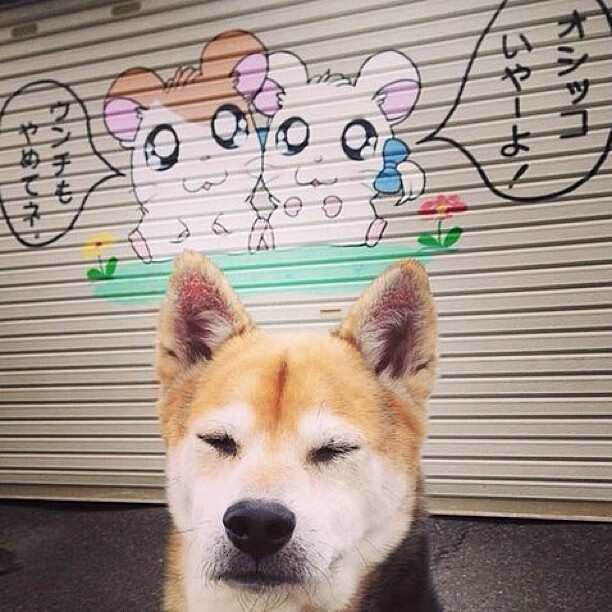 阿克绝杀定乾坤，AC米兰日本之行憾负，新星成胜负手