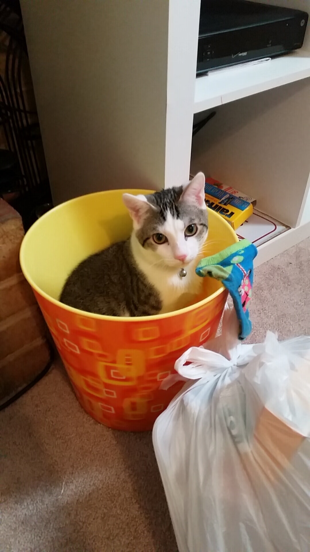 太阳西升！保罗导演末节收割，掘金高原主场惊现战术真空