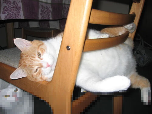 美加墨世界杯之夜,哈弗茨个人能力的完全展现