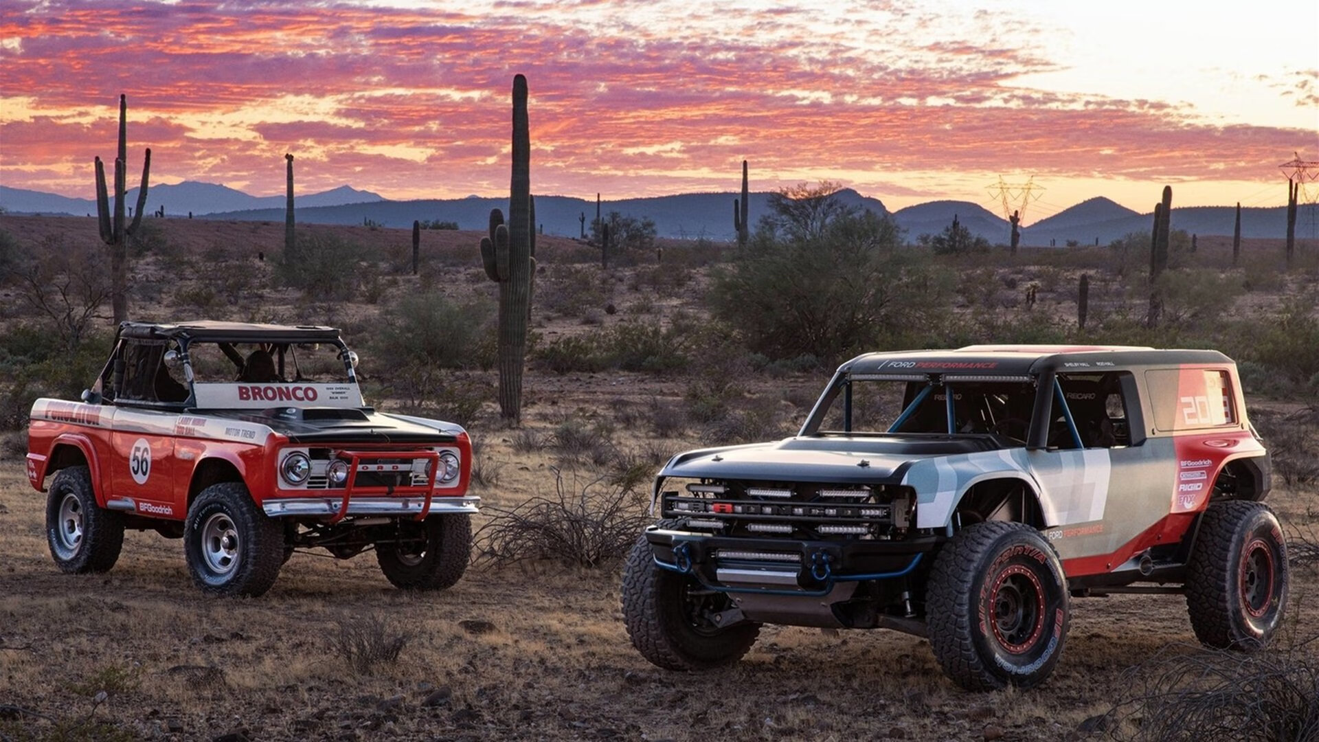 雪落丹佛见曙光，霍勒迪导演逆转，掘金拒葬身底特律寒夜