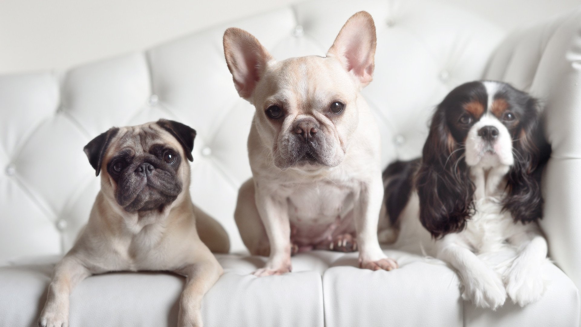 巴尔韦德惊艳四座，当足球艺术撕碎1比0主义的华丽囚笼