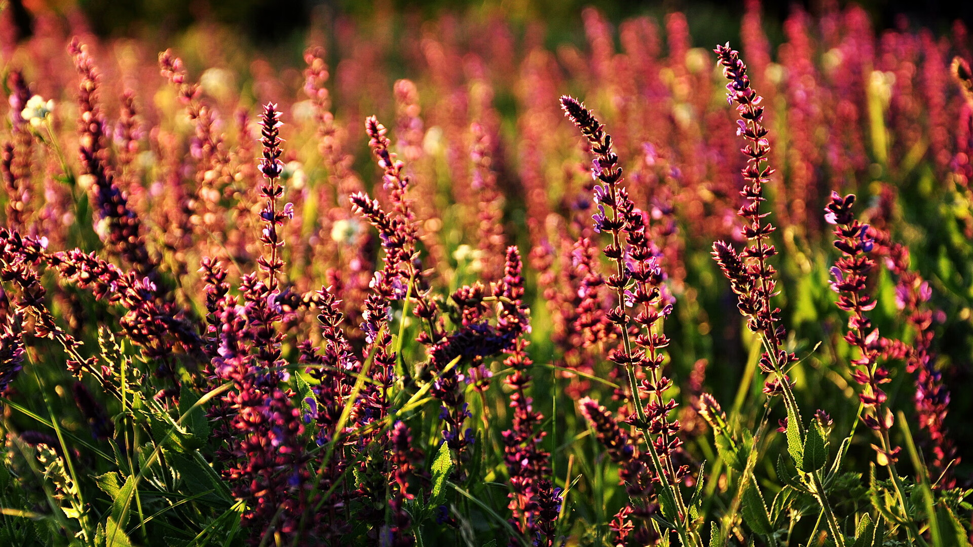 致命弧线，京多安一剑封喉，切尔西鏖战力克AC米兰