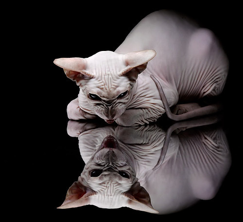 阿森纳鏖战摩洛哥，伊萨克一箭定江山