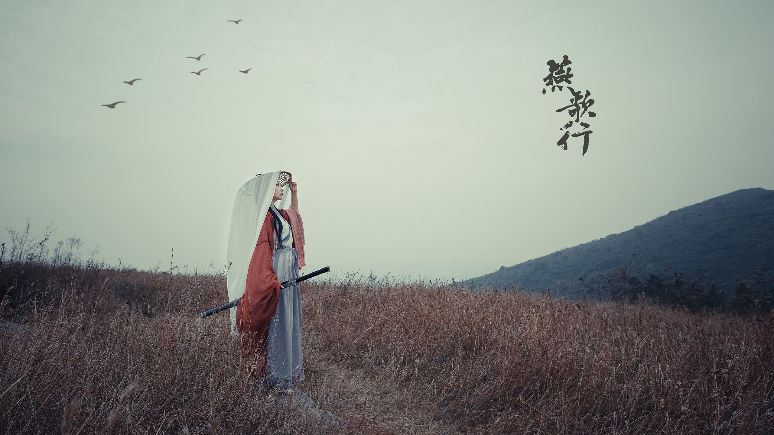 北欧风暴席卷绿茵场，瑞典碾压沙特，迪亚斯独造三球闪耀2026世界杯H组巅峰战